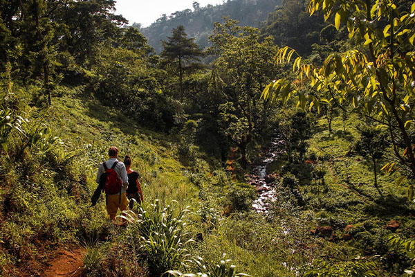 Hiking experience during Materuni Waterfalls Day Trip