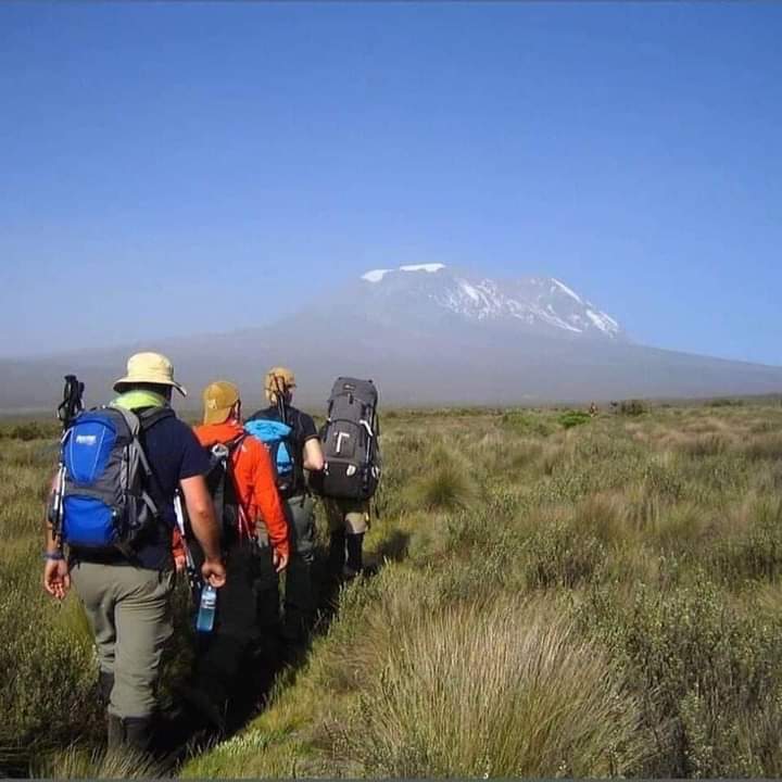 A walk through the 8 days Lemosho route trail